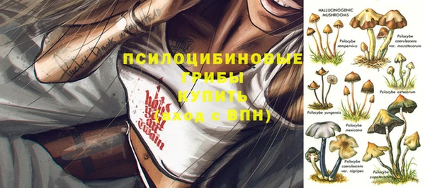 mdpv Михайловск