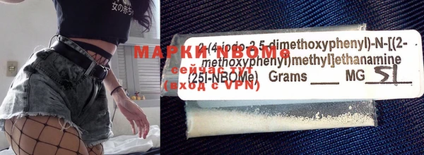 индика Михайловка