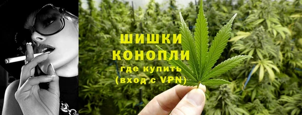 индика Михайловка