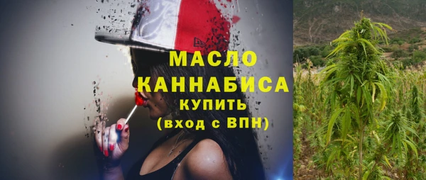 индика Михайловка